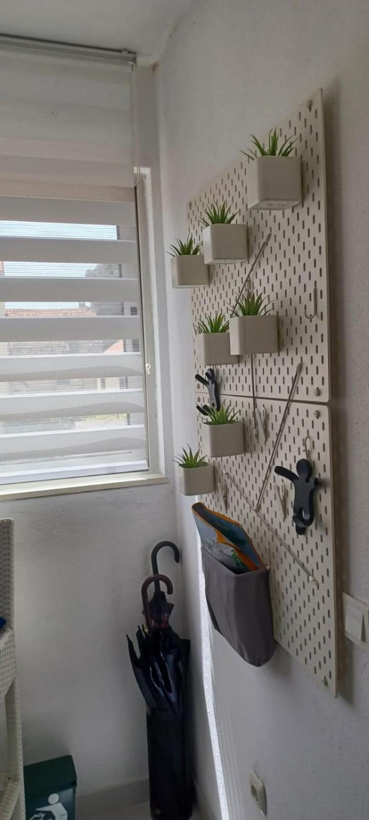 Apartament Sonja *